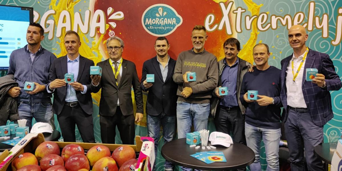 Morgana sfida Pink Lady